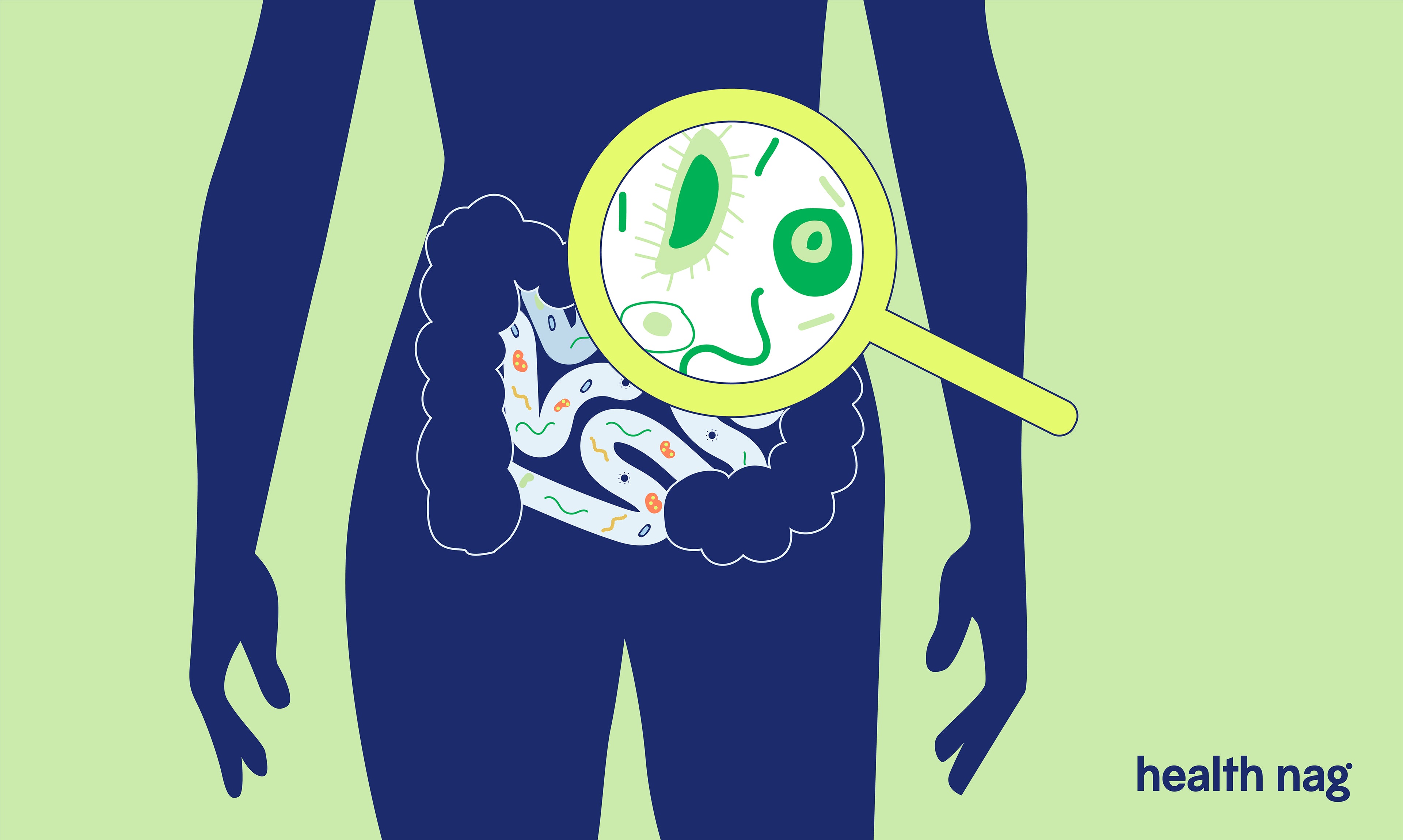 Are probiotics good for me?
