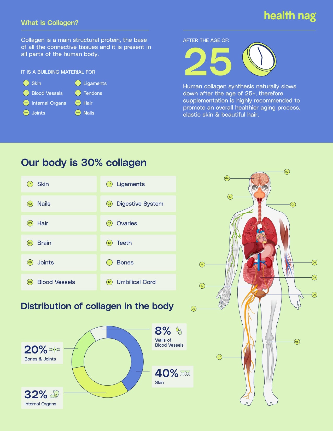 collagen brochure