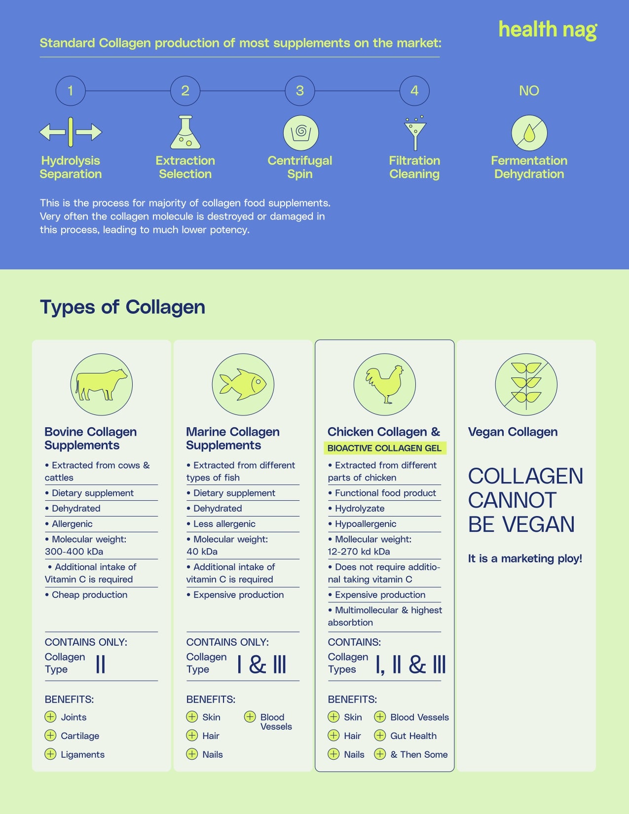 collagen brochure